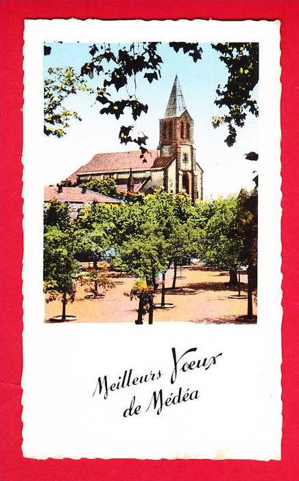 E-Algérie-131P41 MEDEA l'église, carte petit format, BE