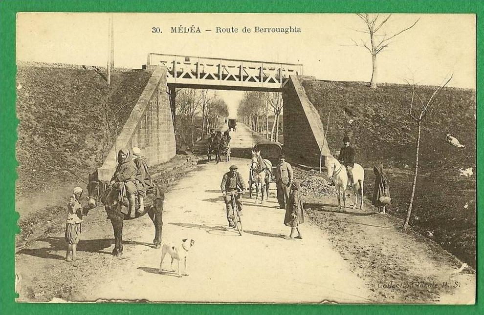 cpa  ALGERIE   , Médéa  - Route de Berrouaghia  ............LMC15