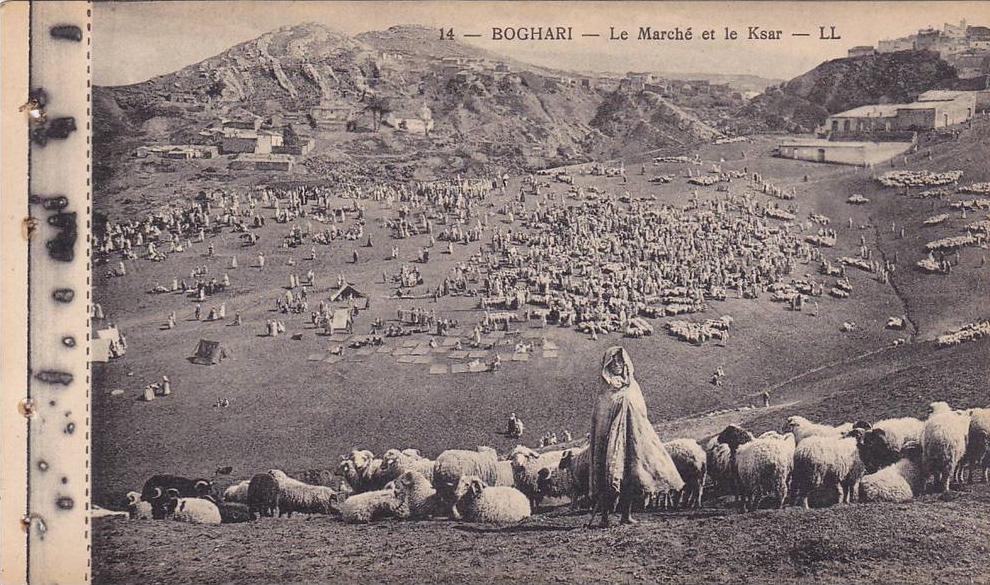 BOGHARI, Le Marche et le Ksar, Herd of sheep, Medea, Algeria, 10-20s