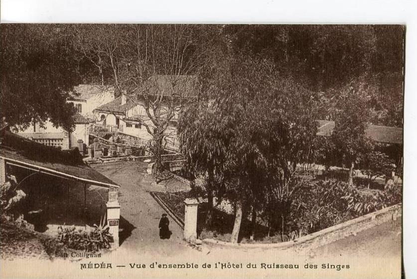 MÉDÉA  -  VUE D' ENSEMBLE DE L' HOTEL DU RUISSEAU DES SINGES