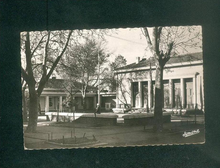 CPSM - Algérie - BEN CHICAO ( Médéa ) - Vins de qualité supérieure - La Mairie (correspondance à lire ...JOMONE)