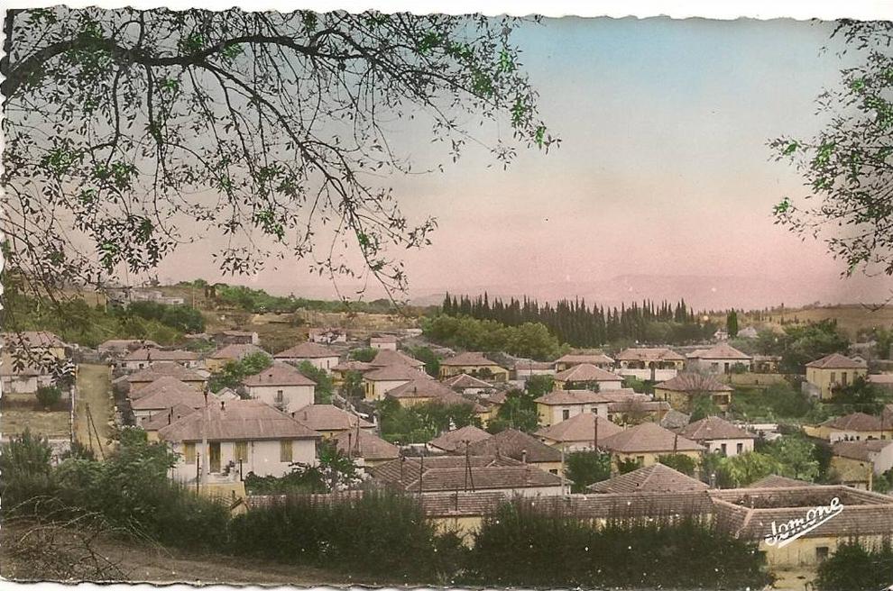 MEDEA   ( Algérie )  - Quartier Nador   ( C.P.S.M.   , Pt  -  Ft  )