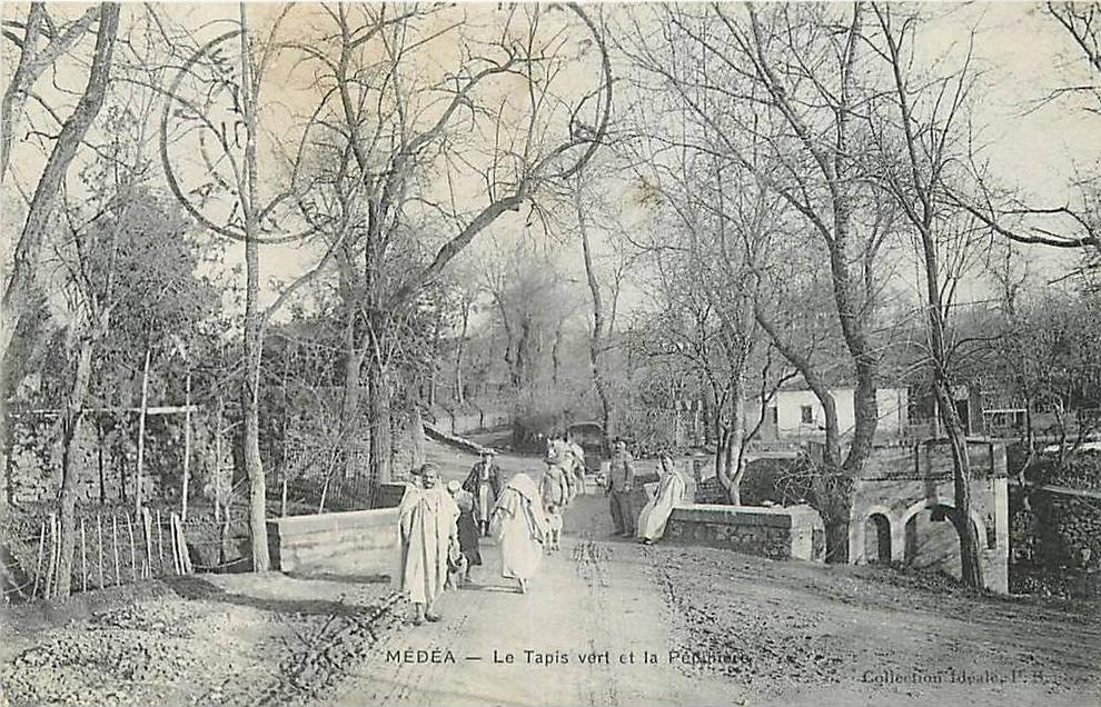 Algérie MEDEA Le papis vert et la pépinière CPA Coll. Idéale P.S.