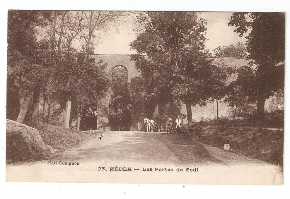 CPA  Algérie  Médéa  Les Portes de Sodi  animation , attelage ..