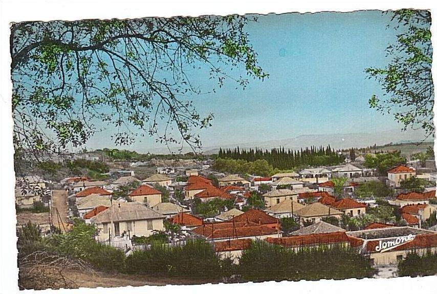 ALGERIE - MEDEA - 1962.