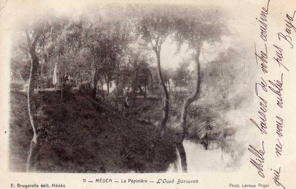 MEDEA  -  La Pépinière - L' Oued Barourah