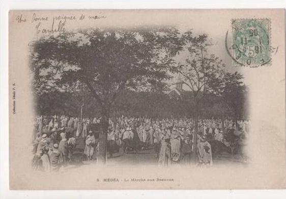 ALGERIE - MEDEA - le Marché aux Bestiaux