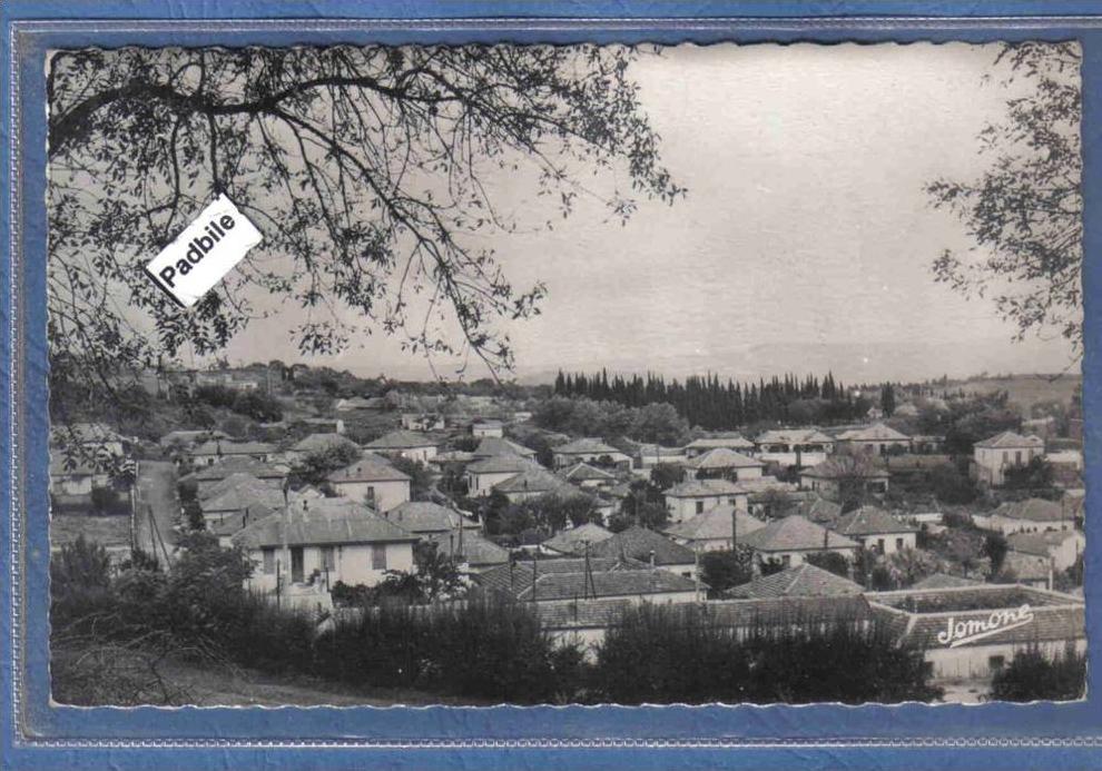 Carte Postale Algérie  Médéa  quartier Nador très beau plan