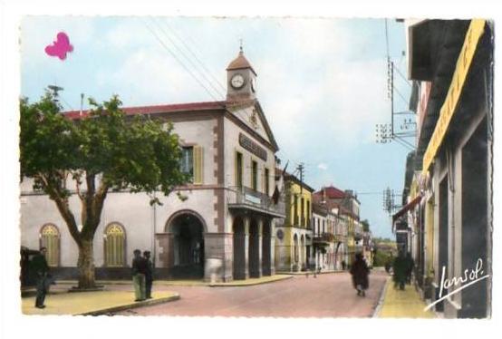 ALGERIE-12378-MEDEA,alt. 920 m.-L' Hôtel de Ville------------animée