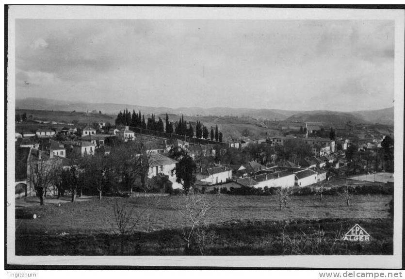 MEDEA-VUE GENERALE ET QUARTIER DU NADOR