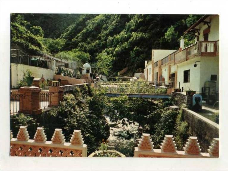 - ALGERIE . MEDEA . RUISSEAU DES SINGES .