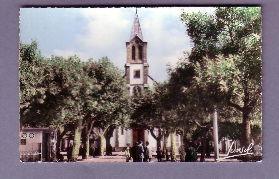 Algérie - Médéa - L'église - Editeur Jansol N° 2