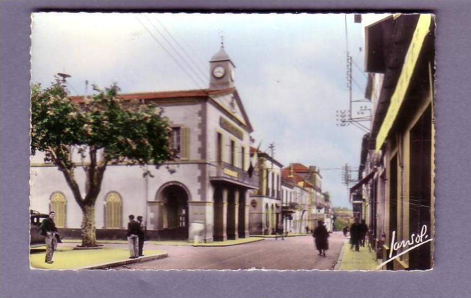 Algérie - Médéa - L'Hôtel de ville - Editeur Jansol N° 1