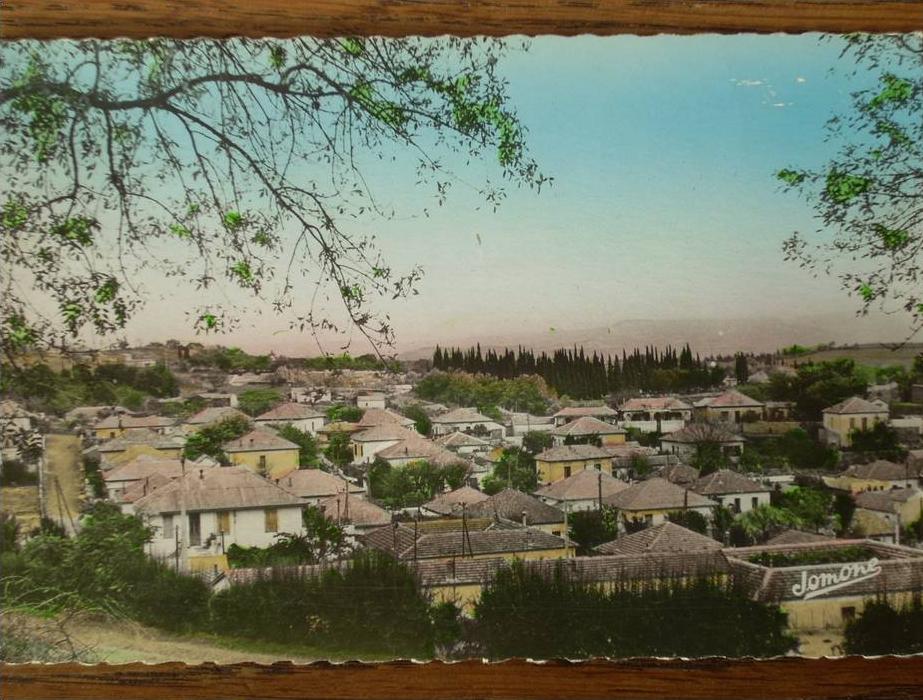 ALGÉRIE - MÉDÉA. - Quartier Nador. (CPSM)