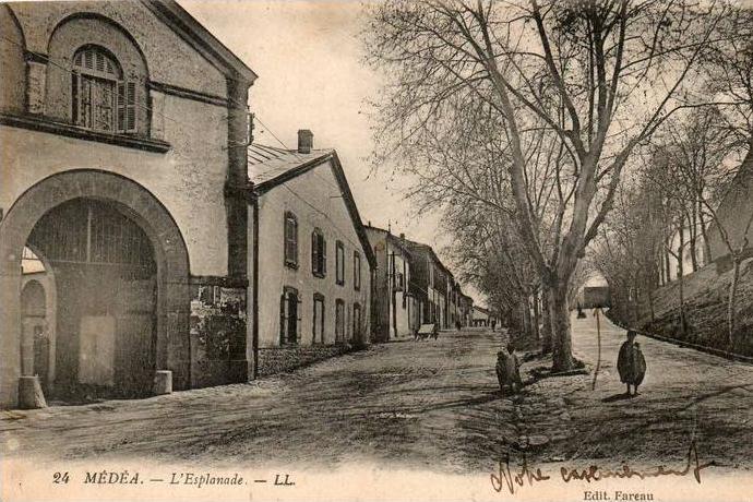 Algérie > Médéa - L´Esplanade - Editions Farreau  - LL n° 24 - voir description*PRIX FIXE