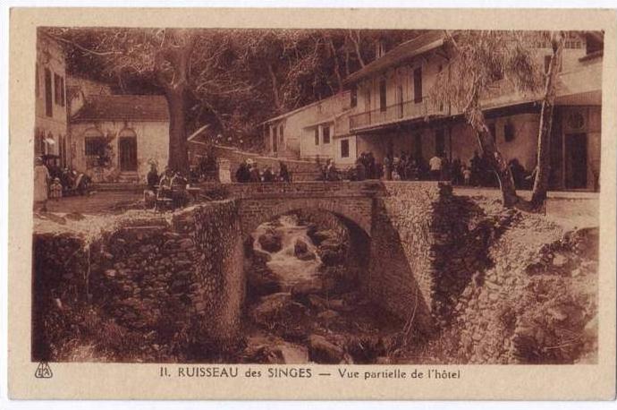 CPA Animée - Ruisseau des Singes - Vue partielle de l´hötel - Neuve - Ed. Photo-Africaines - Alger