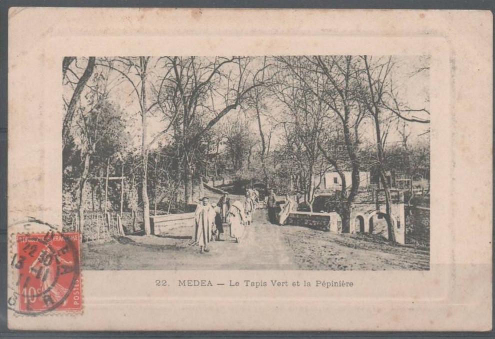 MEDEA - Le Tapis Vert et la Pépinière