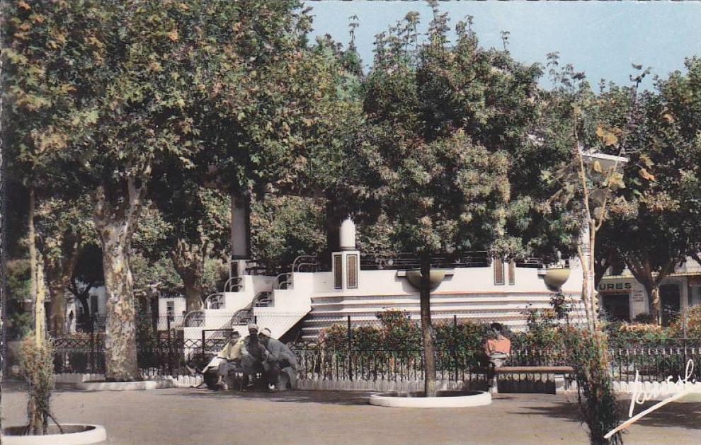 cpsm Petit-Format   Réf-J.P130    (  Algérie  )   MEDEA   