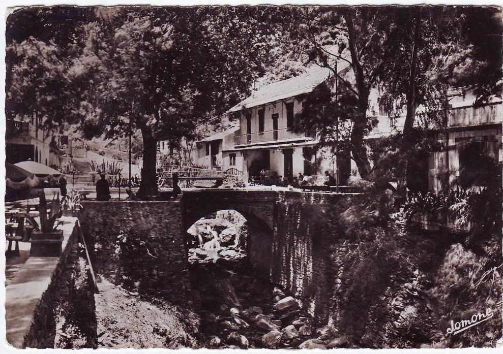 CPA - ALGERIE - Auberge de la Chiffa - Neuve/Mint