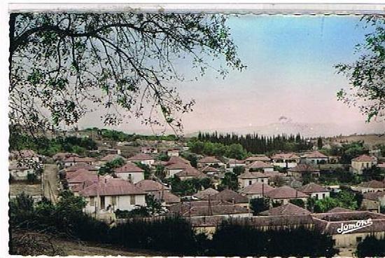 MEDEA    QUARTIER  NADOR      CPSM  TBE 1J05