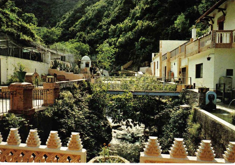 Médéa N°42 Ruisseau des singes années 70 SNED