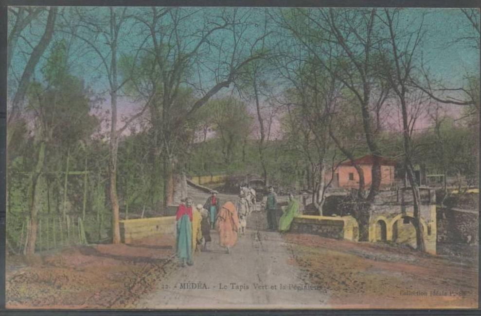 MEDEA - Le Tapis Vert et la Pépinière