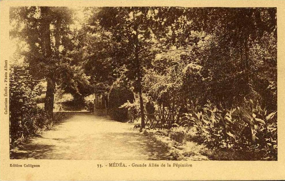 MEDEA Grande allée de la pépinière