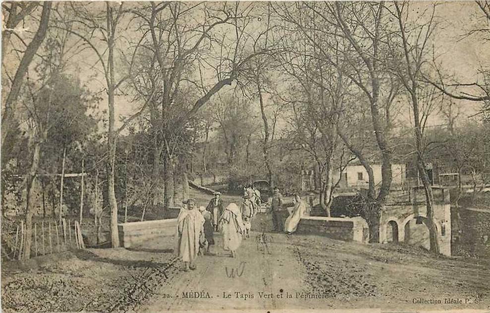 ALGERIE CPA MEDEA *** LE TAPIS VERT ET LA PEPINIERE ***