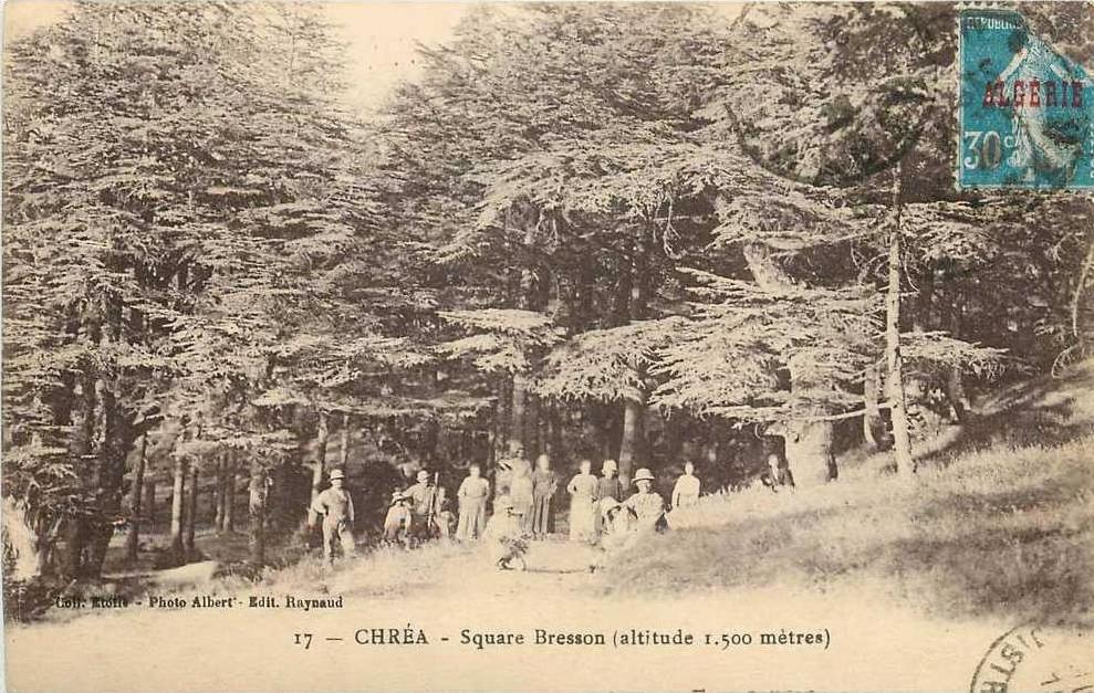 ALGERIE CPA CHREA *** SQUARE BRESSON ***