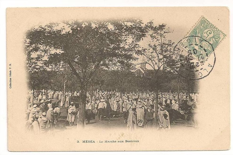 MEDEA LE MARCHE AUX BESTIAUX CP 856