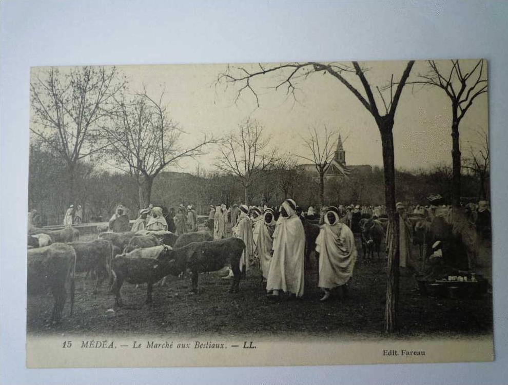 MEDEA    Le marché aux  BESTIAUX  -  Belle animation  XXX