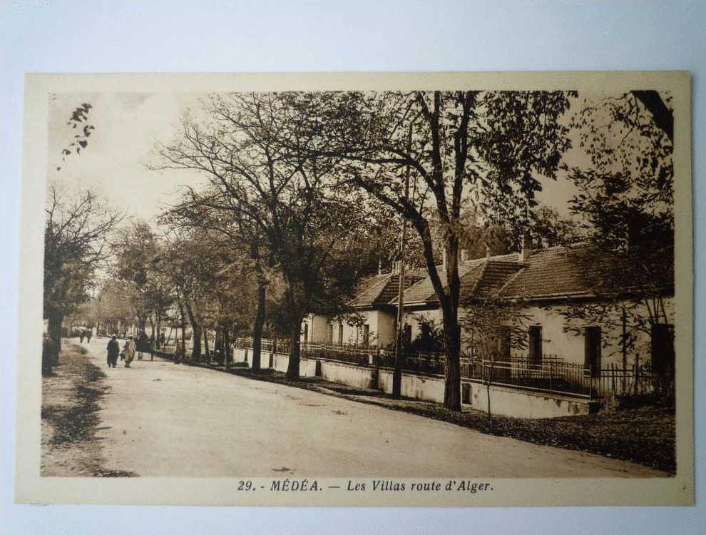 MEDEA    Les VILLAS route d'Alger  -  Carte sépia