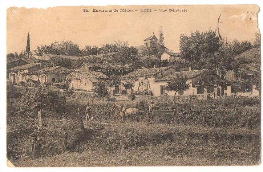 Environ MEDEA - LODI - vue générale attelage - très rare - algérie -
