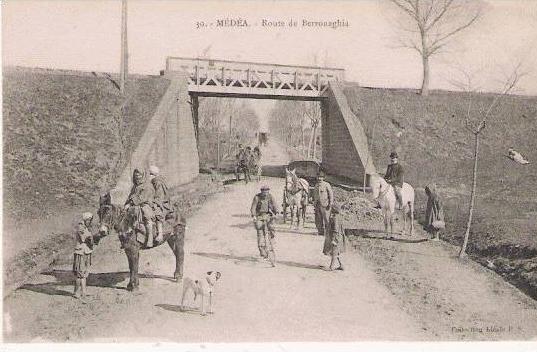 MEDEA 30 ROUTE DE BERROUGHIA (ANE ET ANIMATION)