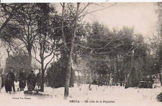 MEDEA UN COIN DE LA PEPINIERE (ANIMATION)