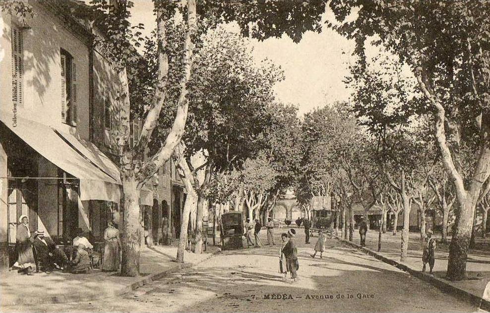 MEDEA (Algérie) rue avenue animation