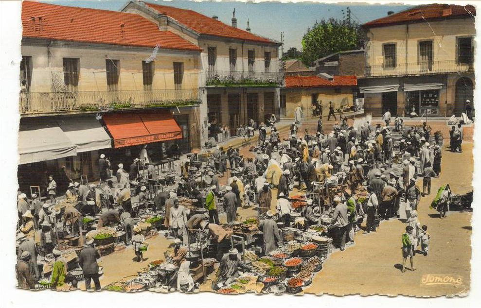 CPSM FORMAT CPA  MÉDÉA   LA PLACE DU MARCHÉ