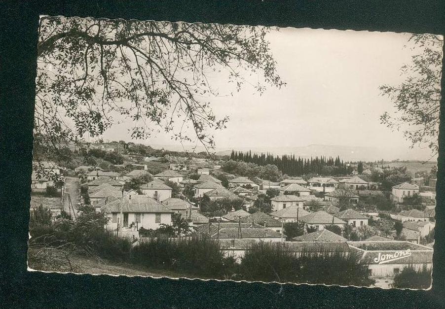 CPSM - Algerie - Médéa - Quartier Nador  (  noir et blanc JOMONE 10)