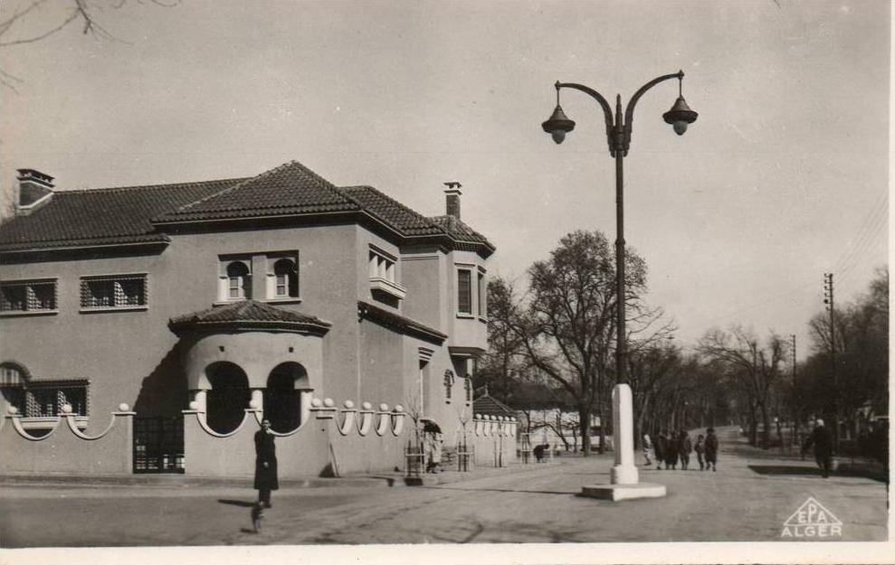 MEDEA-Algérie-Avenue d´ALGER--EPA-n° 13.*PRIX FIXE