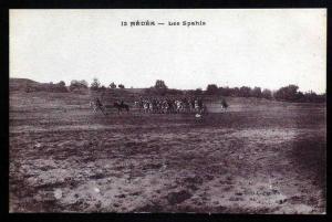 Médéa - Les Saphis - Groupe de Cavaliers - Carte vierge en parfait état -