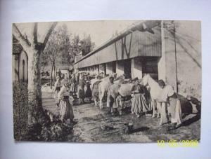 medea caserne des spahis le pansage