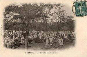 NK-DV 0098-Algérie-Médéa-Le Marché aux Bestiaux-Trés animé-P.S