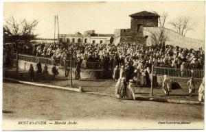 xALG.15.  MOSTAGANEM