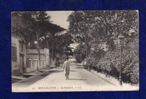 Algerien / Algérie - Mostaganem  La Pepiniere