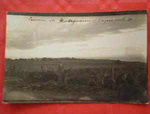 0106 ALGERIE Mostaganem CARTE PHOTO  crépuscule