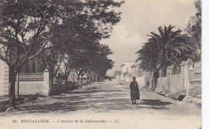 MOSTAGANEM ... AVENUE DE LA SALAMANDRE