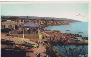 afriquealgerie.mostagane m. la salamandre.la plage