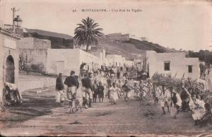 PORT GRATUIT  8500    MOSTAGANEM