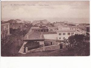 Algérie - Mostaganem, vue générale, l'Avenue Raynal