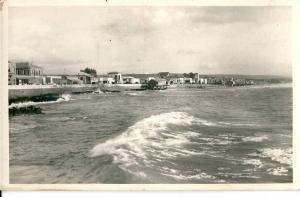 CPSM  ALGERIE MOSTAGANEM VUE sur la SALAMANDRE Joli plan